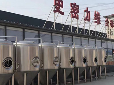 保亭精酿啤酒设备厂—市场规模与跨界新需求